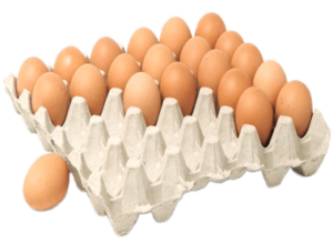 egg tray machine manfacturer