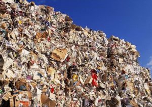 paper pulp molding process-material collection