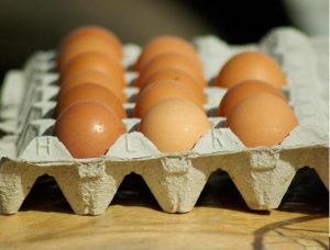 risks of investing in egg tray production line