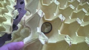 burned hole on egg tray