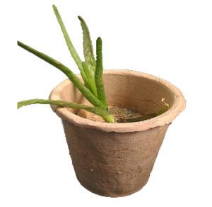 molded paper flower pot